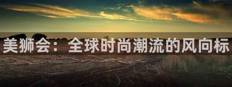 壹号下载官网入口