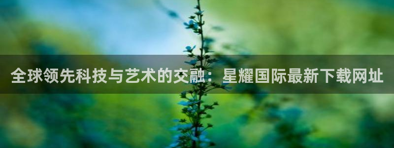 新城平台退款怎么退