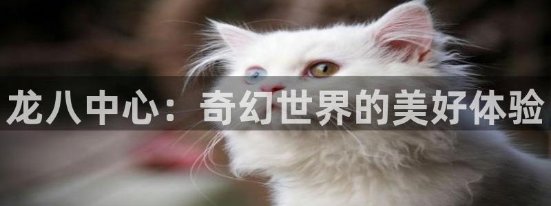 壹号官方app下载安装