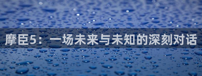 新城平台,com