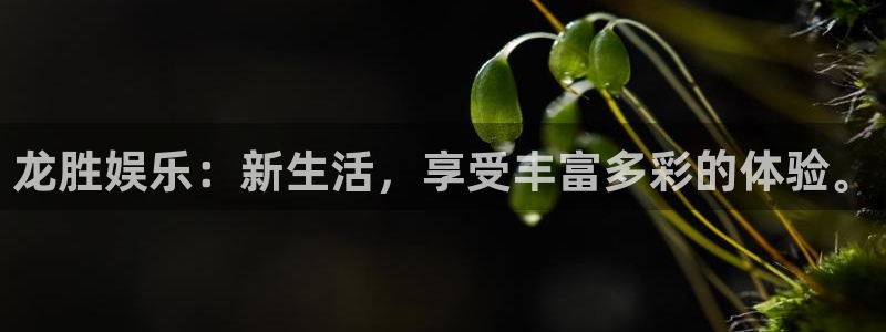 伟德国际集团 壹号(one game)