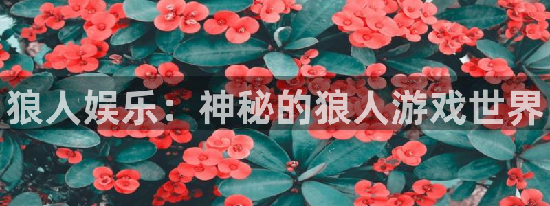 新城平台平台app下载
