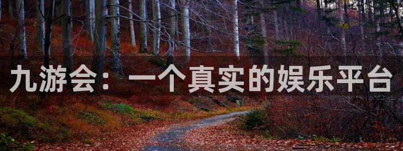 新城平台app官网