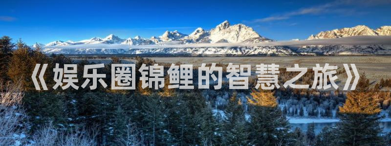 新城平台平台app下载