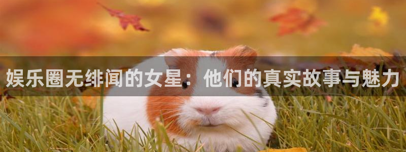 壹号app下载链接