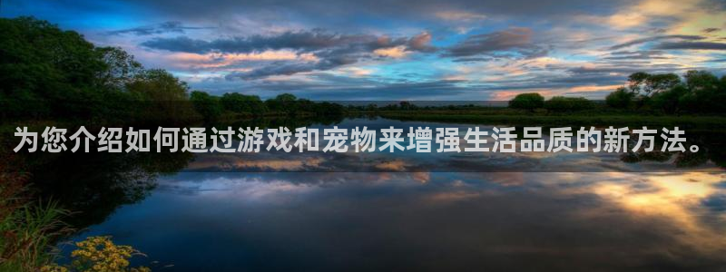 新城平台,apk