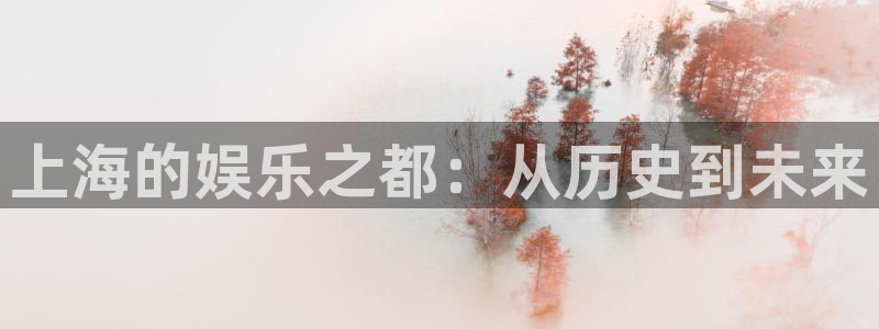 新城平台官网下载