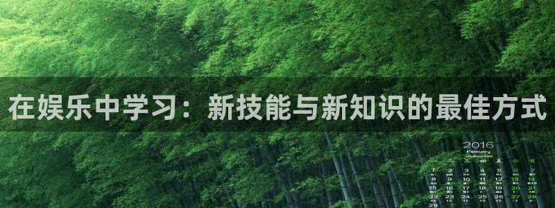 壹号玩家app下载