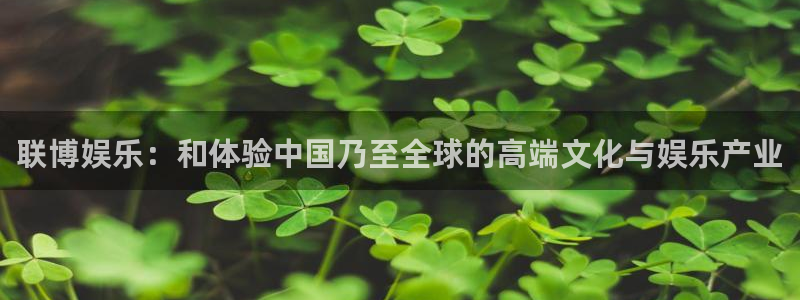 新城平台com