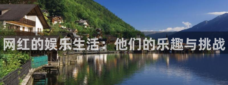 新城平台官网入口
