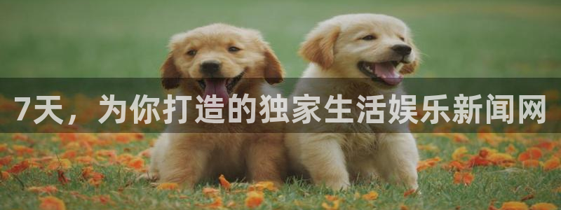 下载新城平台app：7天，为你打造的独家生活娱乐新闻网