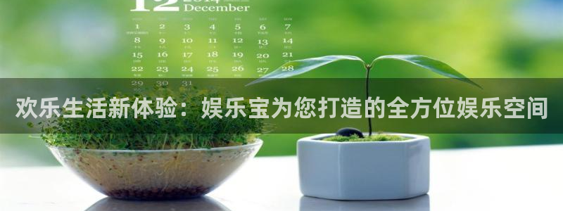 新城平台app下载地址