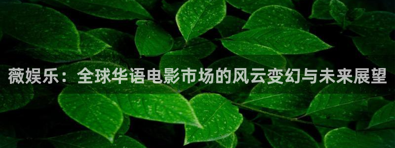 新城平台退款怎么退