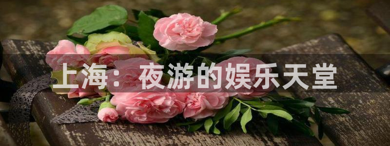 新城平台官网下载