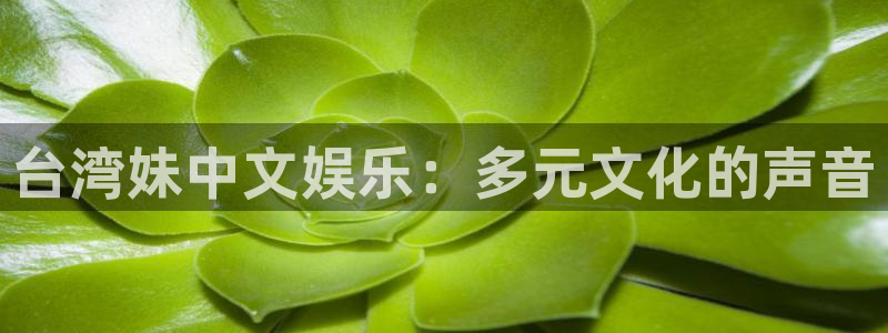 壹号大舞台