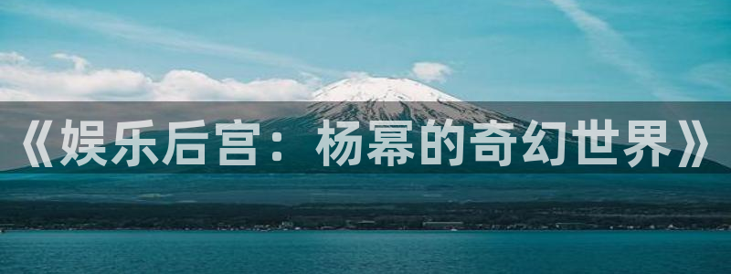 新城平台,apk.