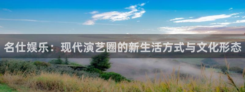 新城平台