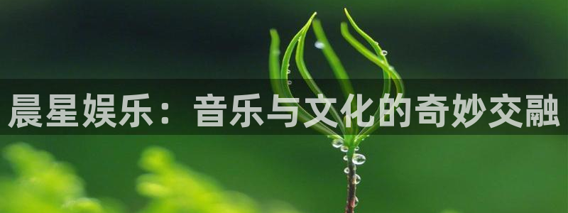 新城平台下载