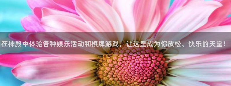 壹号app官方登录入口下载