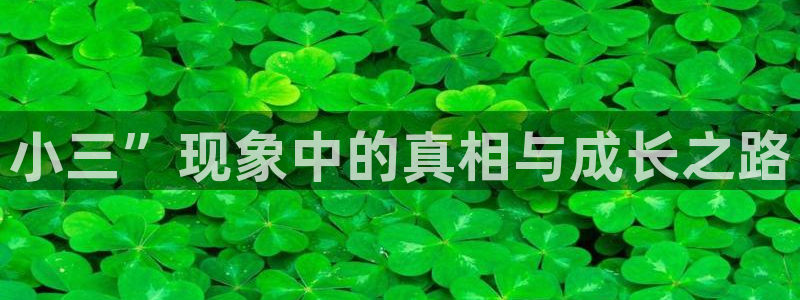 新城平台,apk.