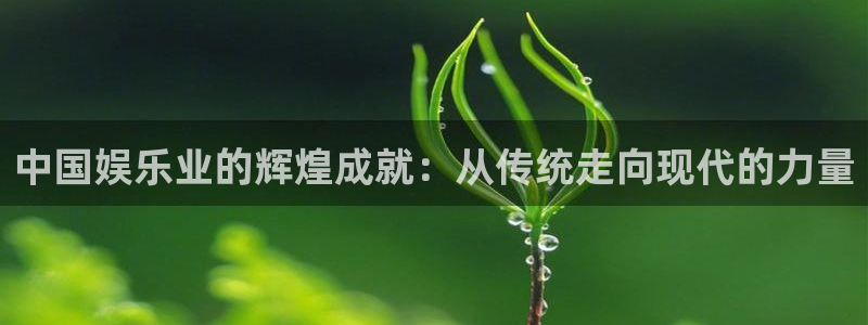 新城平台平台app下载安装