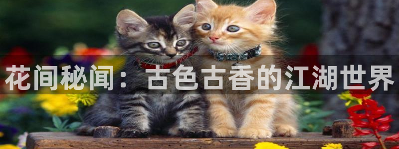 壹号大舞台有梦你就来
