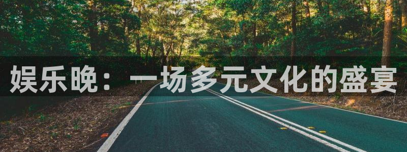 壹号大舞台官网入口：娱乐晚：一场多元文化的盛宴